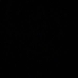 Meet your Posher, Anum